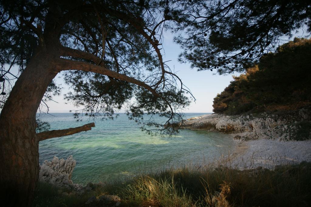 Corry 1 Διαμέρισμα Ravni Εξωτερικό φωτογραφία
